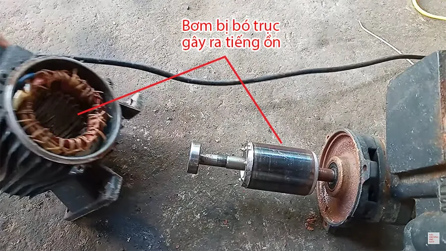 Phải làm gì ngay lập tức?