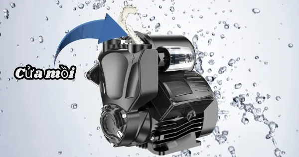 Hướng dẫn chi tiết cách mồi nước máy bơm đơn giản