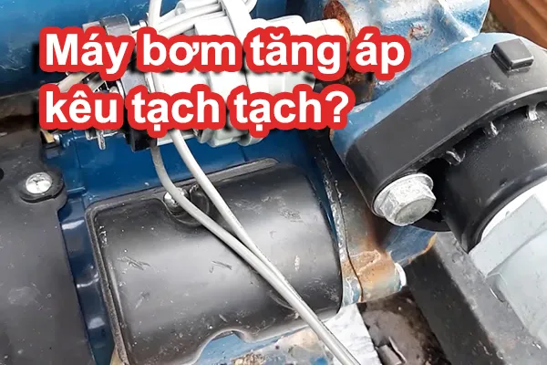 Máy bơm tăng áp kêu to & kêu tạch tạch liên tục: Nguyên nhân chính & 5 giải pháp khắc phục từ chuyên gia Zentech